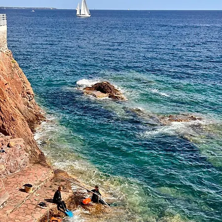 Azurea Esterel Vue Piscine Chauffee Classe 3 Etoiles * Saint-Raphaël
